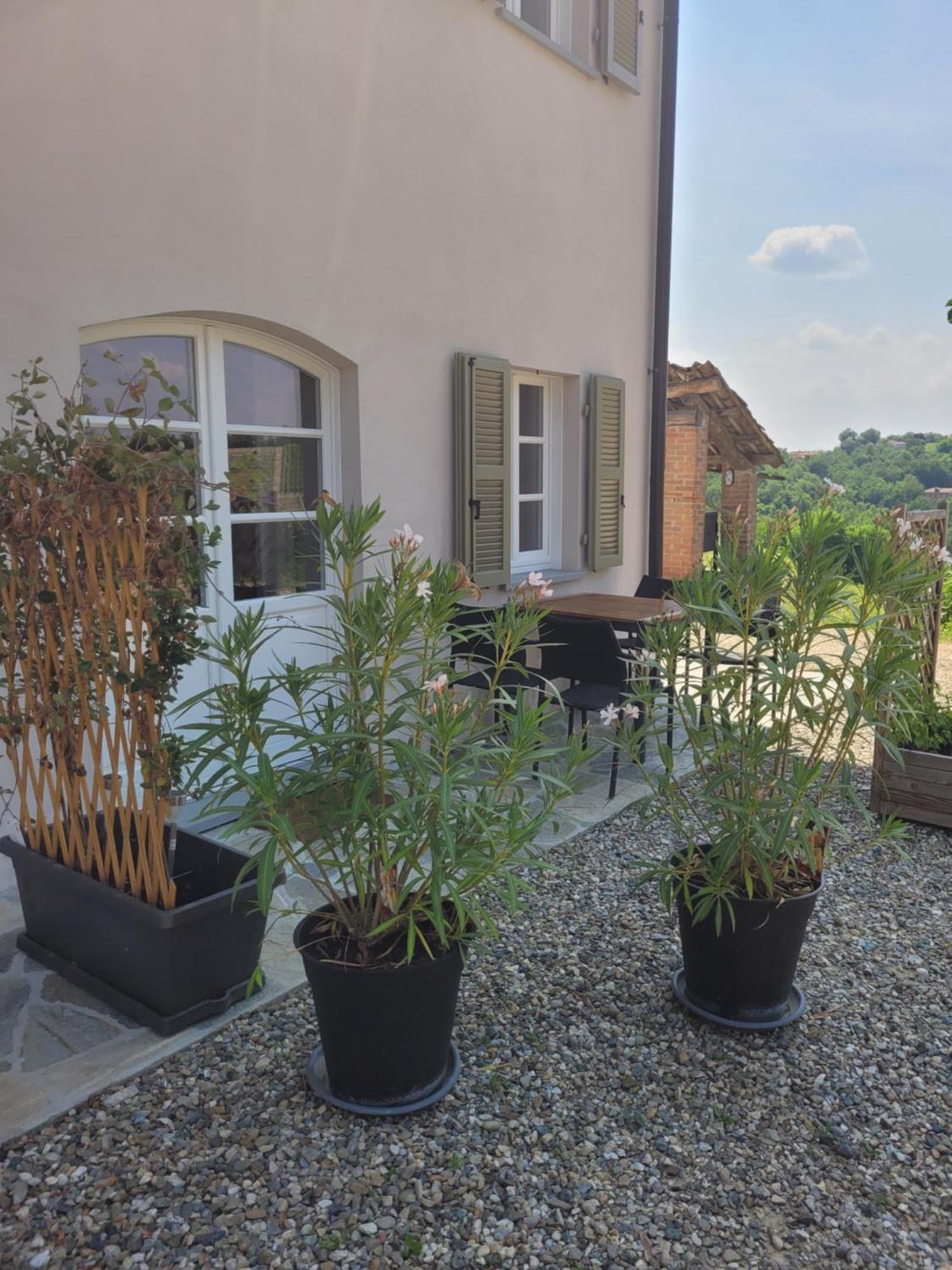 Cascina Allegria Castelnuovo  Экстерьер фото